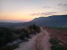 Sunrise, looking back towards Azqueta.webp