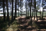 0496-bench at La Grajera lake (Logrono-Navarette, 23.05.2011).webp