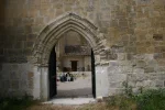 0900-San Anton (Rabe de las Calzados-Castrojeriz, 01.06.2011).webp