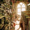 so many books.webp