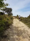 mountainbike.webp