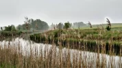 camino pic river.webp