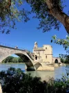 Le Pont d'Avignon 8-6-19.webp