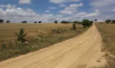 0353-dirtpath after crossing RR(Almansa-Alpera, 15.06.2015).webp