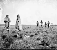 Stilts in Les Landes.webp