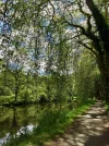 Canal Nantes a Brest.webp