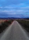 Following the moon2.webp