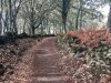 Path on the way to Portamarin.jpg