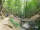 Ehrbachtal.webp