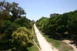 0056-view from Pont del Real (Valencia-Silla, 08.06.2015).JPG