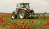 tractor-and-poppies.jpg