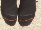 Snowgumsocks.webp