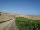 3 Sep #14 1052hrs Panorama by the Way between Ciruena and Santo Domingo.webp