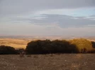 6 Sep #5 0813hrs View of Burgos from the Alto (1050m) above Atapuerca.webp