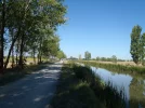 10 Sep #7 1132hrs Looking towards Fromista along the Canal de Castilla.webp