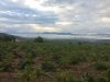 23 Sep #1 0907hrs El Bierzo landscape Clouds in valley On the Way between Cacabelos & Trabadelo.JPG