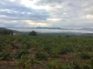 23 Sep #1 0907hrs El Bierzo landscape Clouds in valley On the Way between Cacabelos & Trabadelo.webp