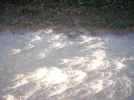 Eclipse shadows, Galicia, 2005.webp