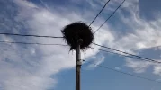 Storks Nest - Galicia - 04 Oct 2014.webp