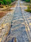 Single track, Camino Littoral.webp