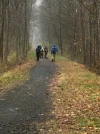 20 miler -- Catharine Valley Trail.webp