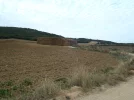 28 Aug #7 0909hrs Big haystacks.webp