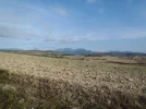 31 Aug #2 0908hrs Leaving Torres del Rio. Wind turbines to the North.webp