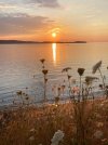 sunset and flowers.jpg