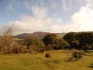 dartmoor2.webp