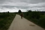 0860-buddhist monk on the path before Villalbilla (Burgos-Rabe de las Calzados, 31.05.2011).webp