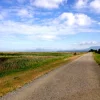 West Dyke Trail.webp