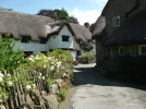 Lustleigh 2.webp