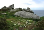 finisterre.webp