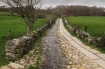 Pilgrim_Path.webp