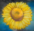 brightbackgroundsunflower.webp