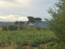 23 Sep #3 0907hrs El Bierzo countryside Whitewashed house in Brierley. On the Way between Caca...JPG