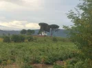 23 Sep #3 0907hrs El Bierzo countryside Whitewashed house in Brierley. On the Way between Cac...webp