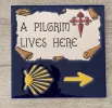 Pilgrim.webp