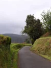 Green Galicia.webp