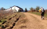 towards Villafranca del Bierzo.webp