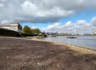 Foreshore.webp