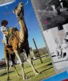 mum on a camel 1970s (2)_LI.webp