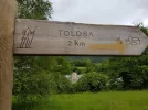 Tolosa.webp