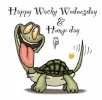 Happy-Wacky-Wednesday-Hump-Day.webp