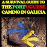 A Survival Guide to the Portuguese Camino in Galicia