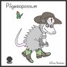 Pilgeropossum