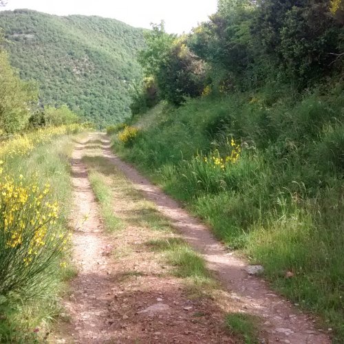 Chemin Arles