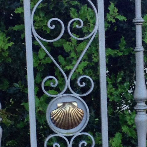 Golden Shell on fence - after Teo