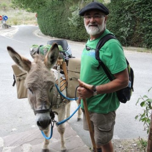 Have donkey will...travel