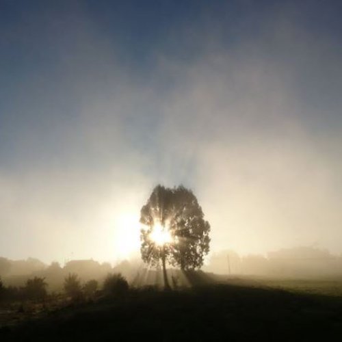 Ah, that magic Galician mist at sunrise...